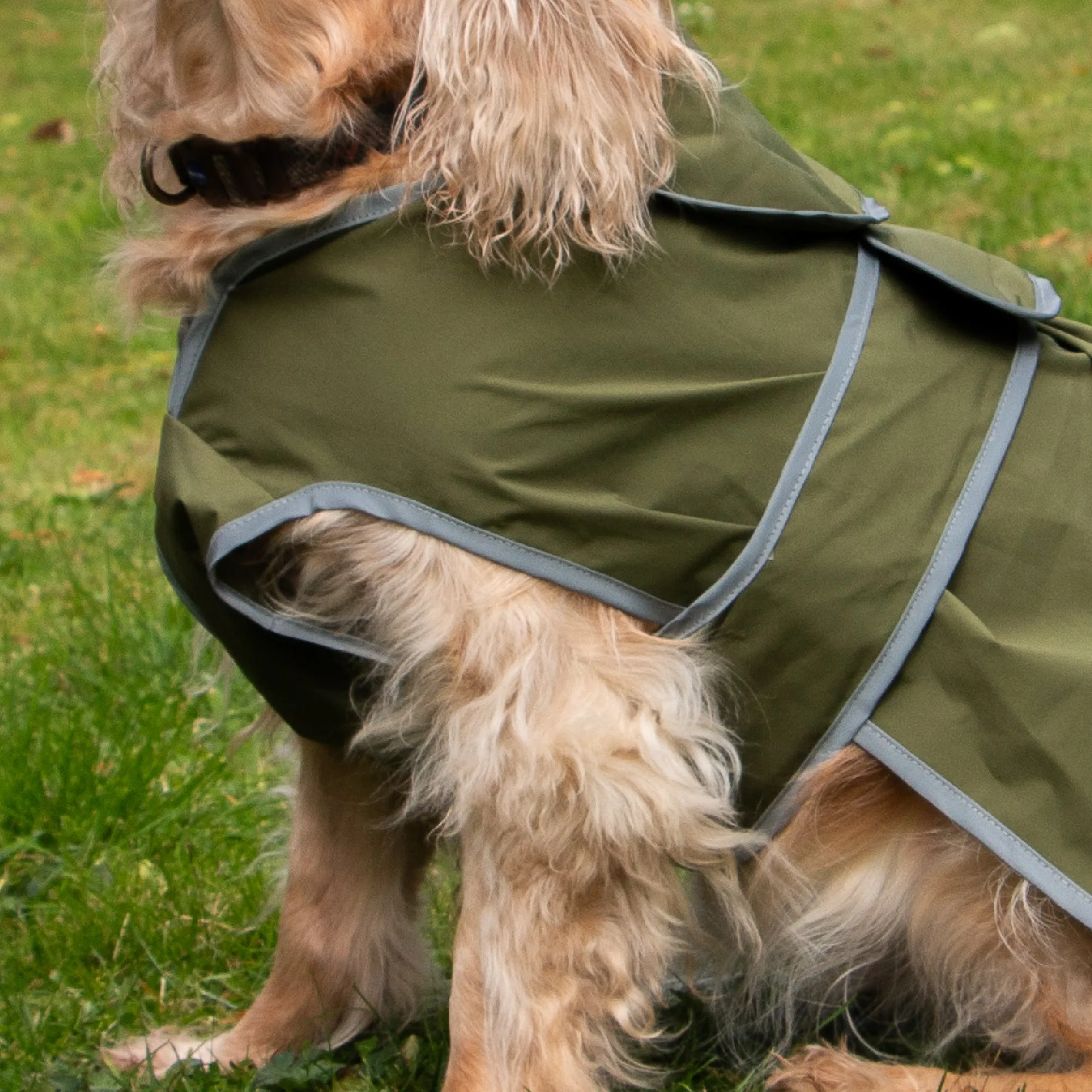 Ancol Dog Puppy Coats Stormguard Soft Shell Khaki 7 Sizes