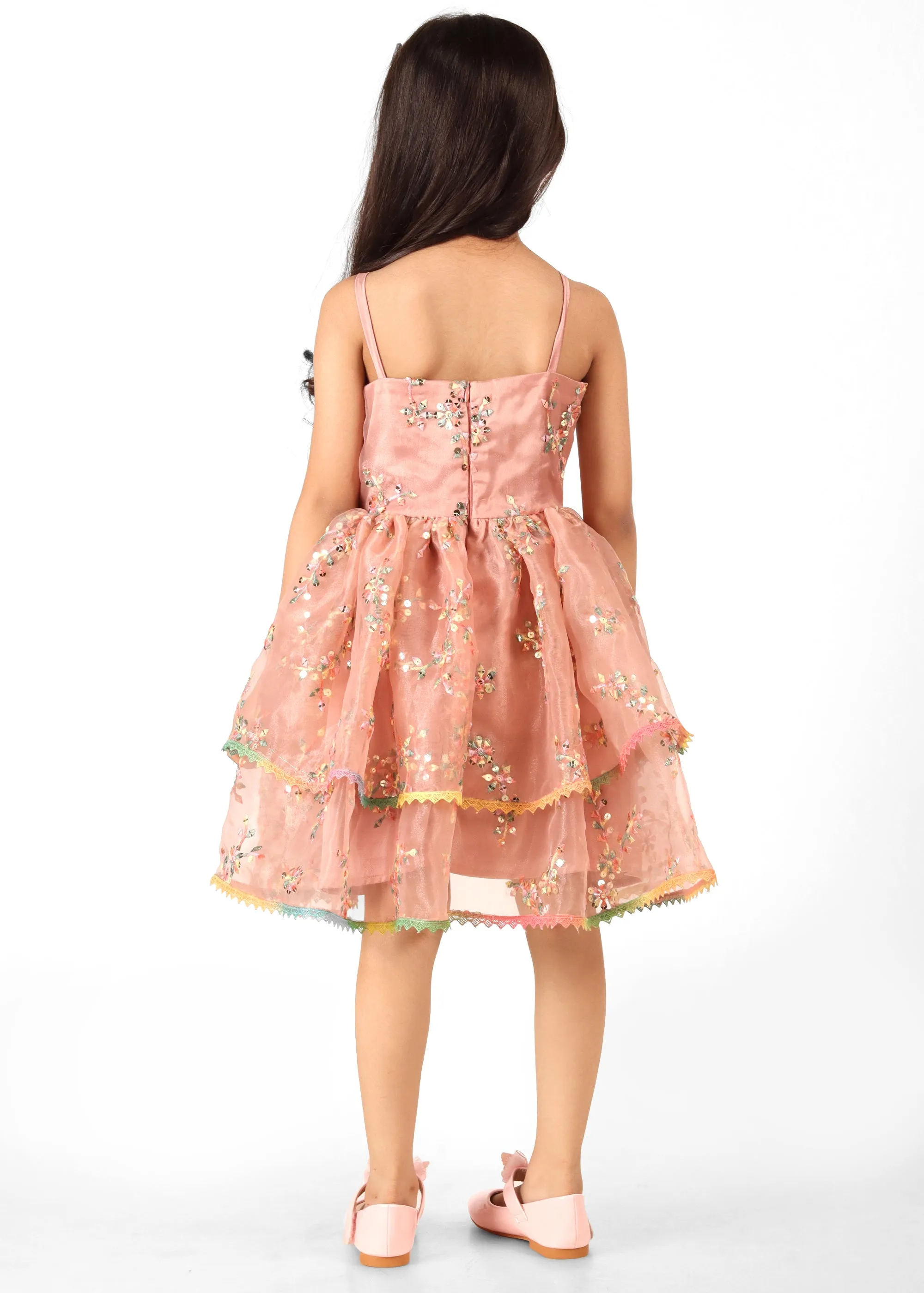 Blush Bloom Embroidered Dress