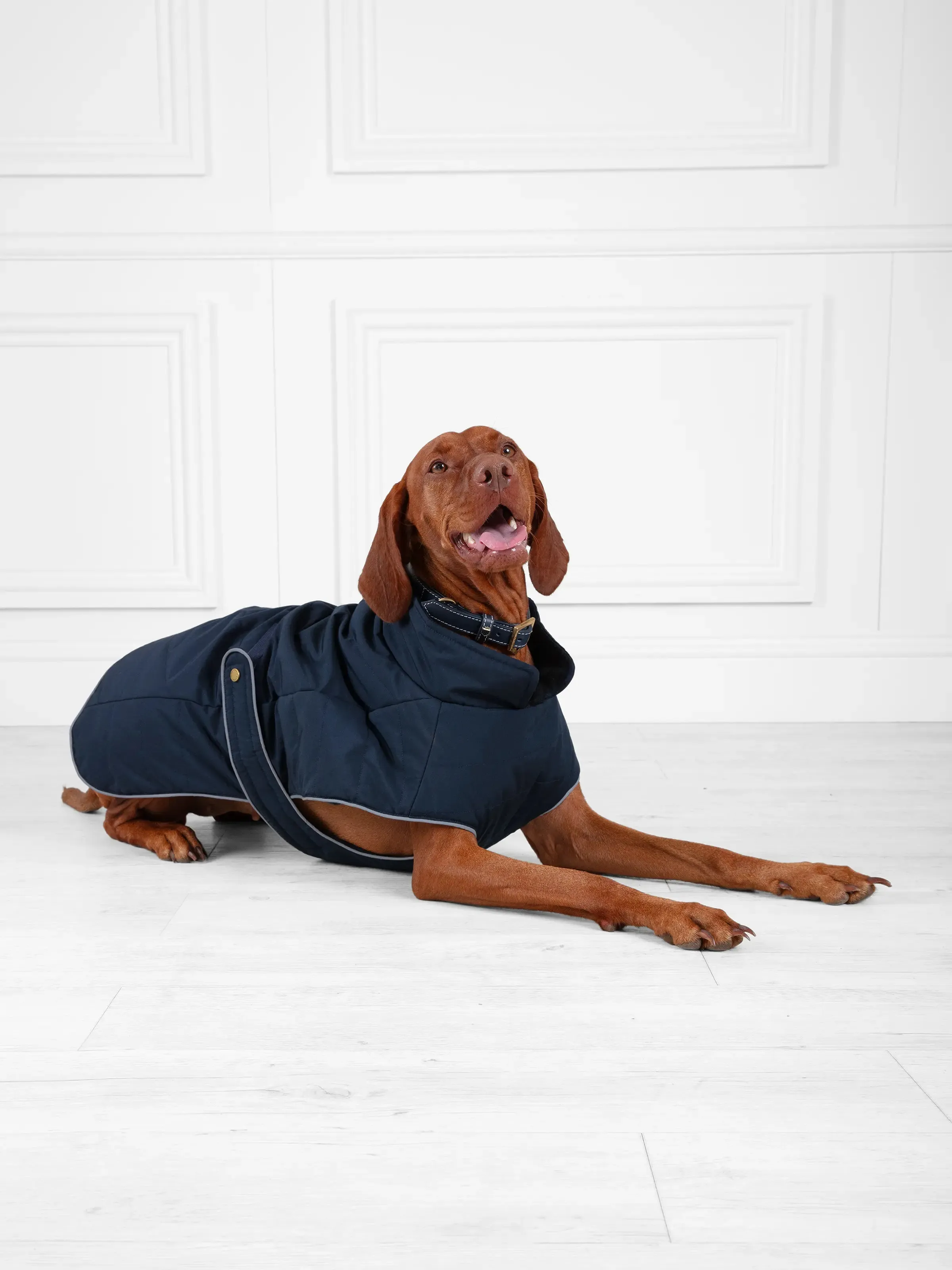 Charlotte Padded Dog Coat - Navy