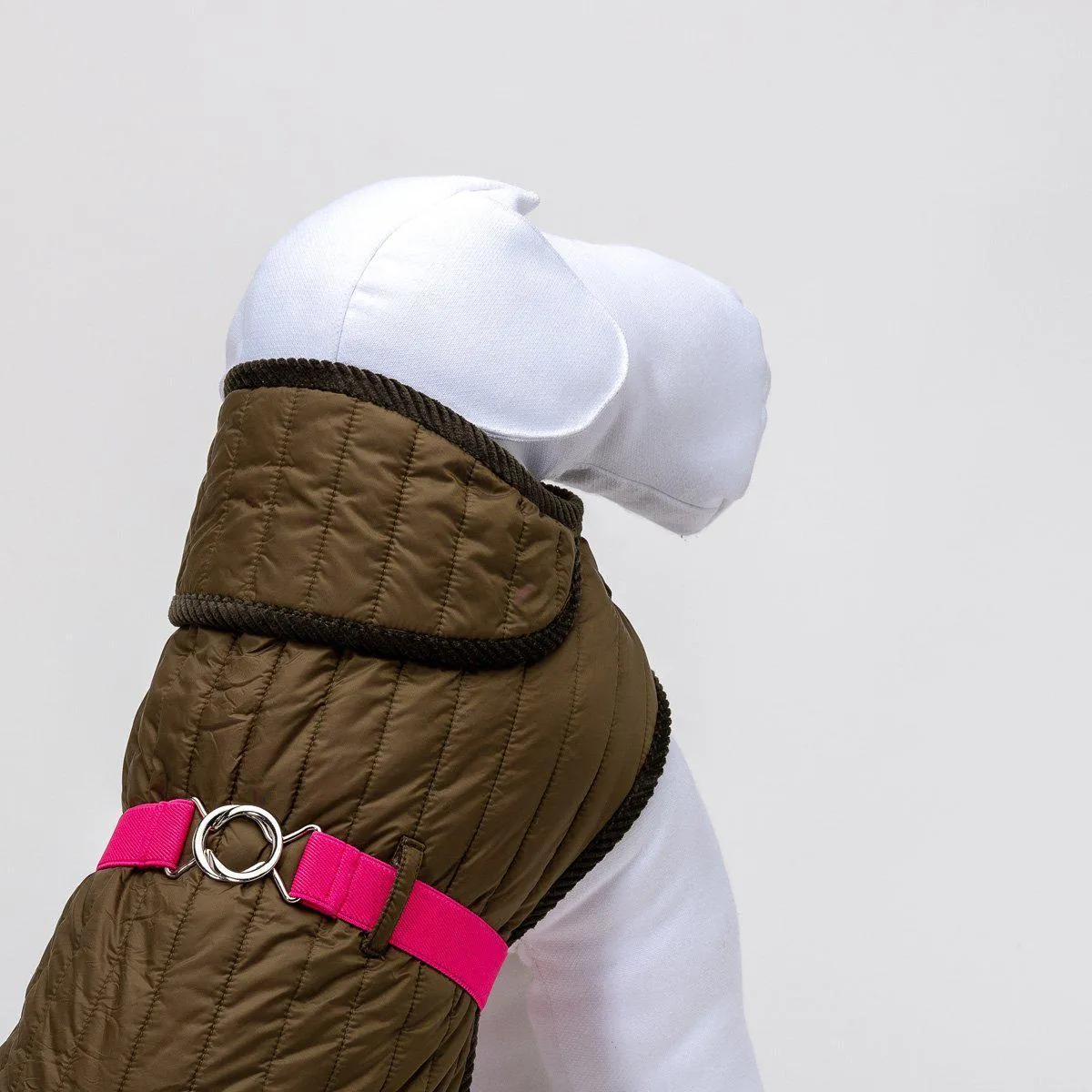 Dog Raincoat Green And Pink Quilt