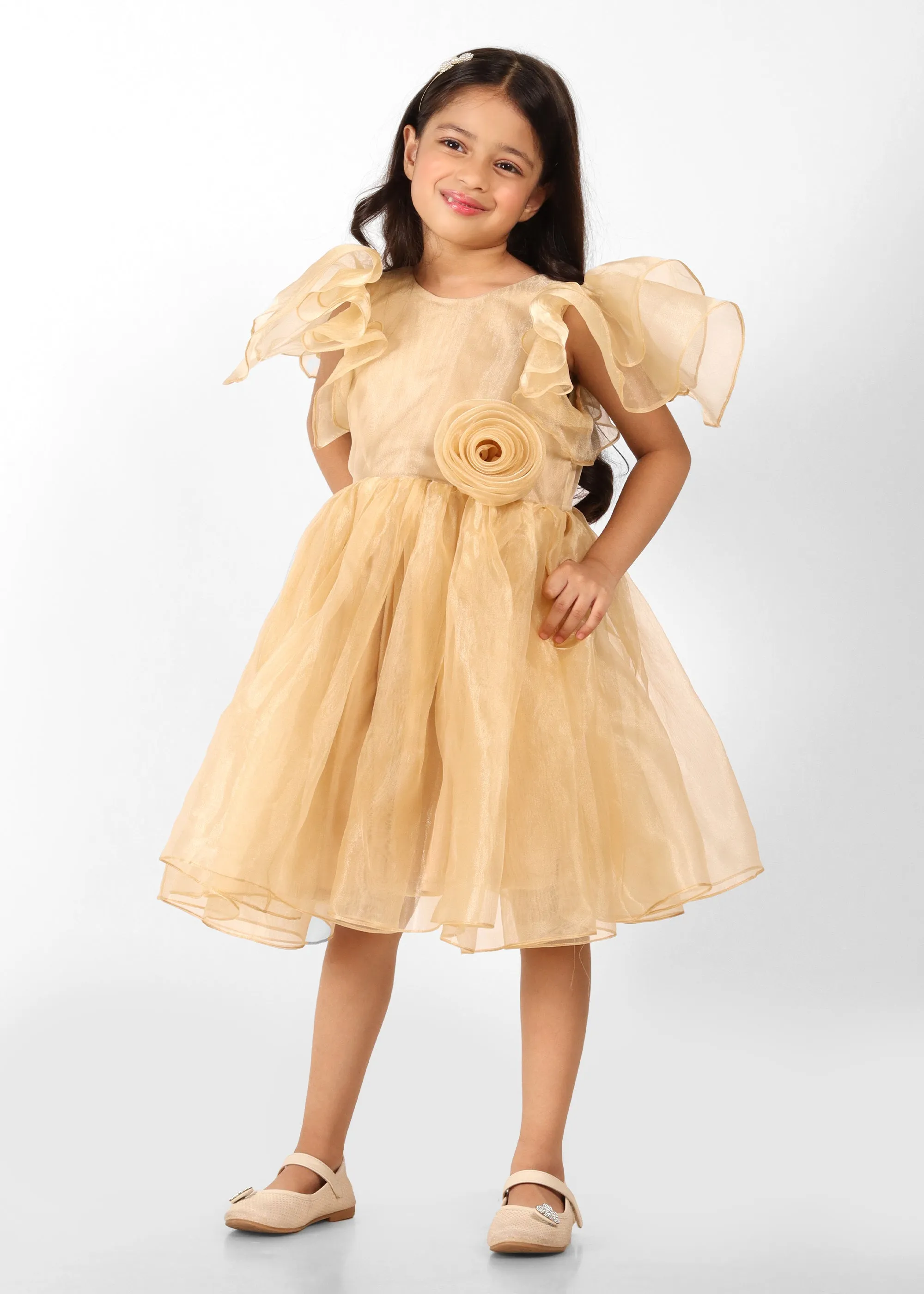 Golden Blossom Organza Dress