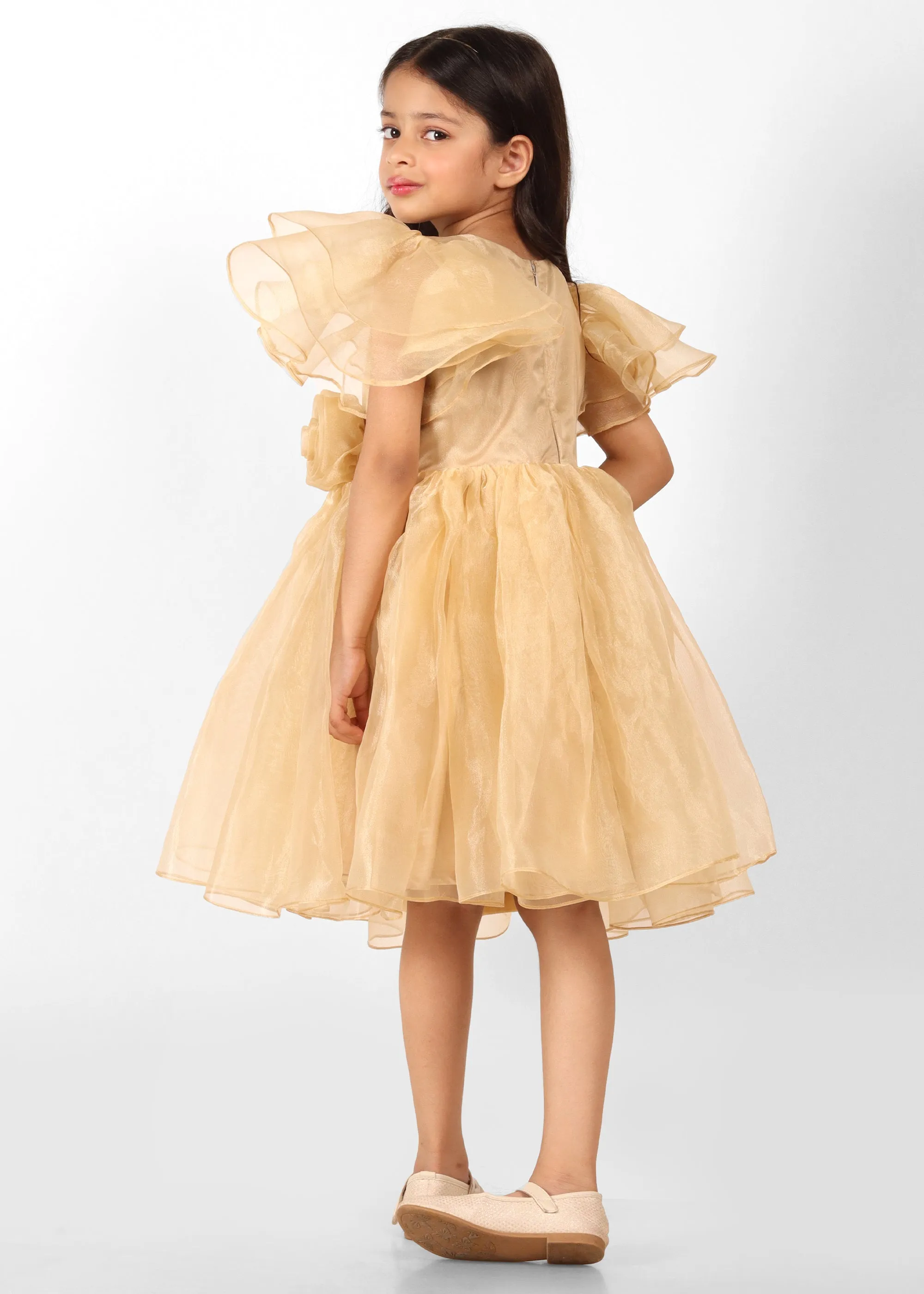 Golden Blossom Organza Dress