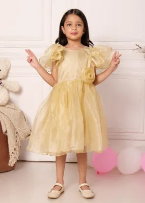 Golden Blossom Organza Dress