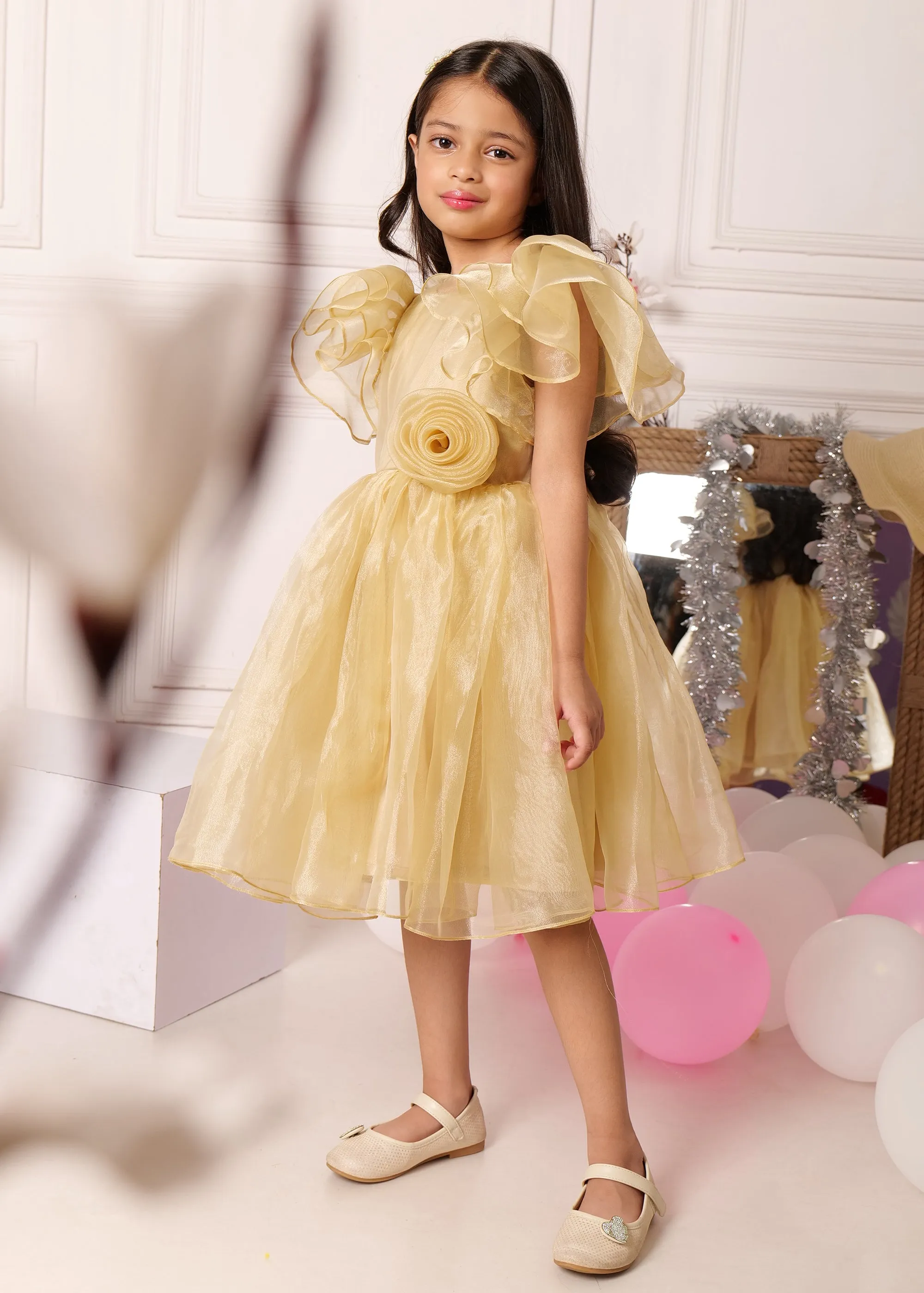 Golden Blossom Organza Dress