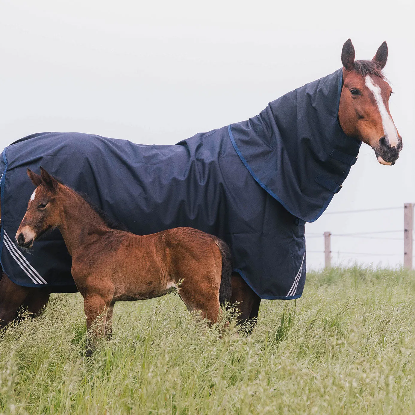 Kentucky Horsewear All Weather Comfort Turnout Neck Cover 0g - Navy