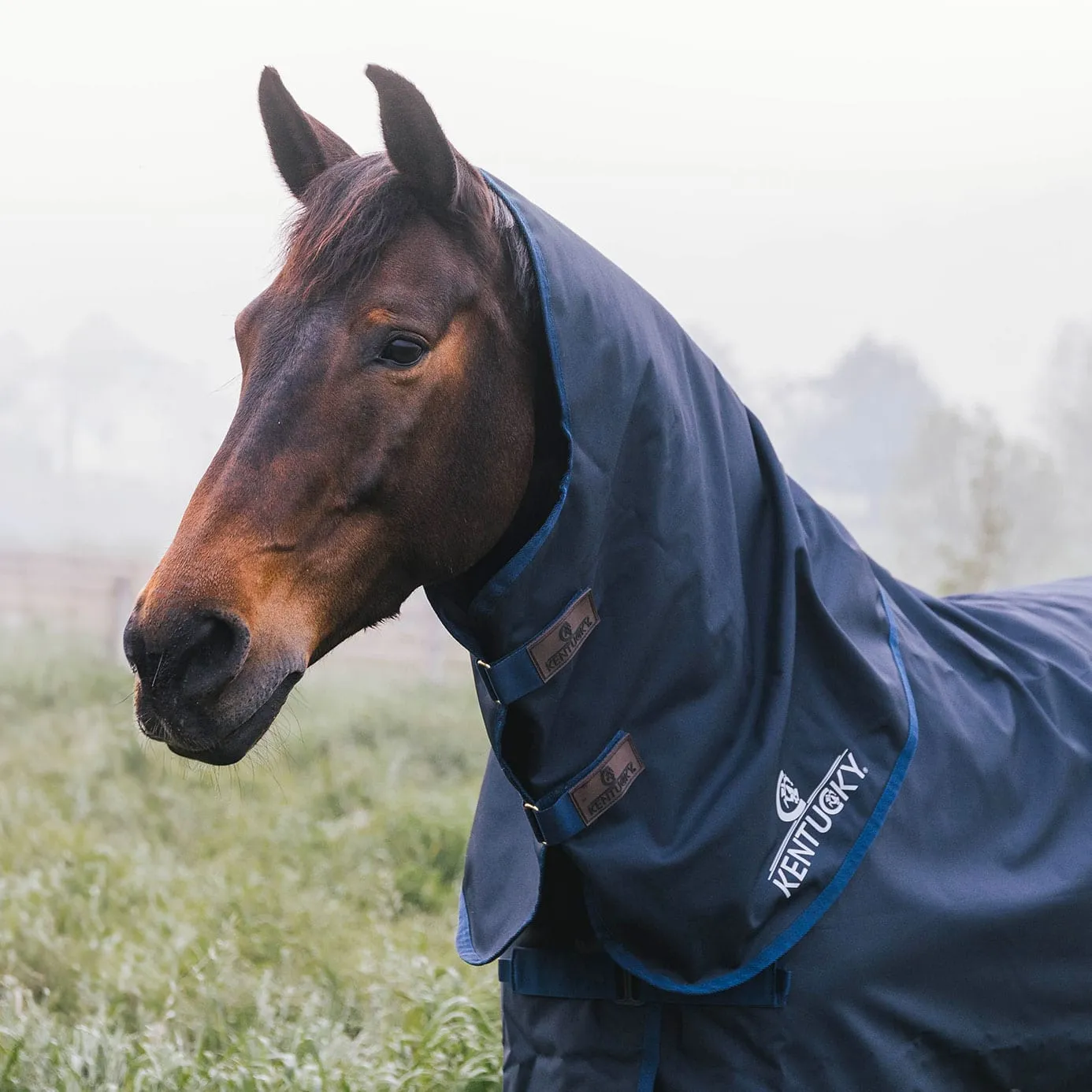 Kentucky Horsewear All Weather Comfort Turnout Neck Cover 200g - Navy