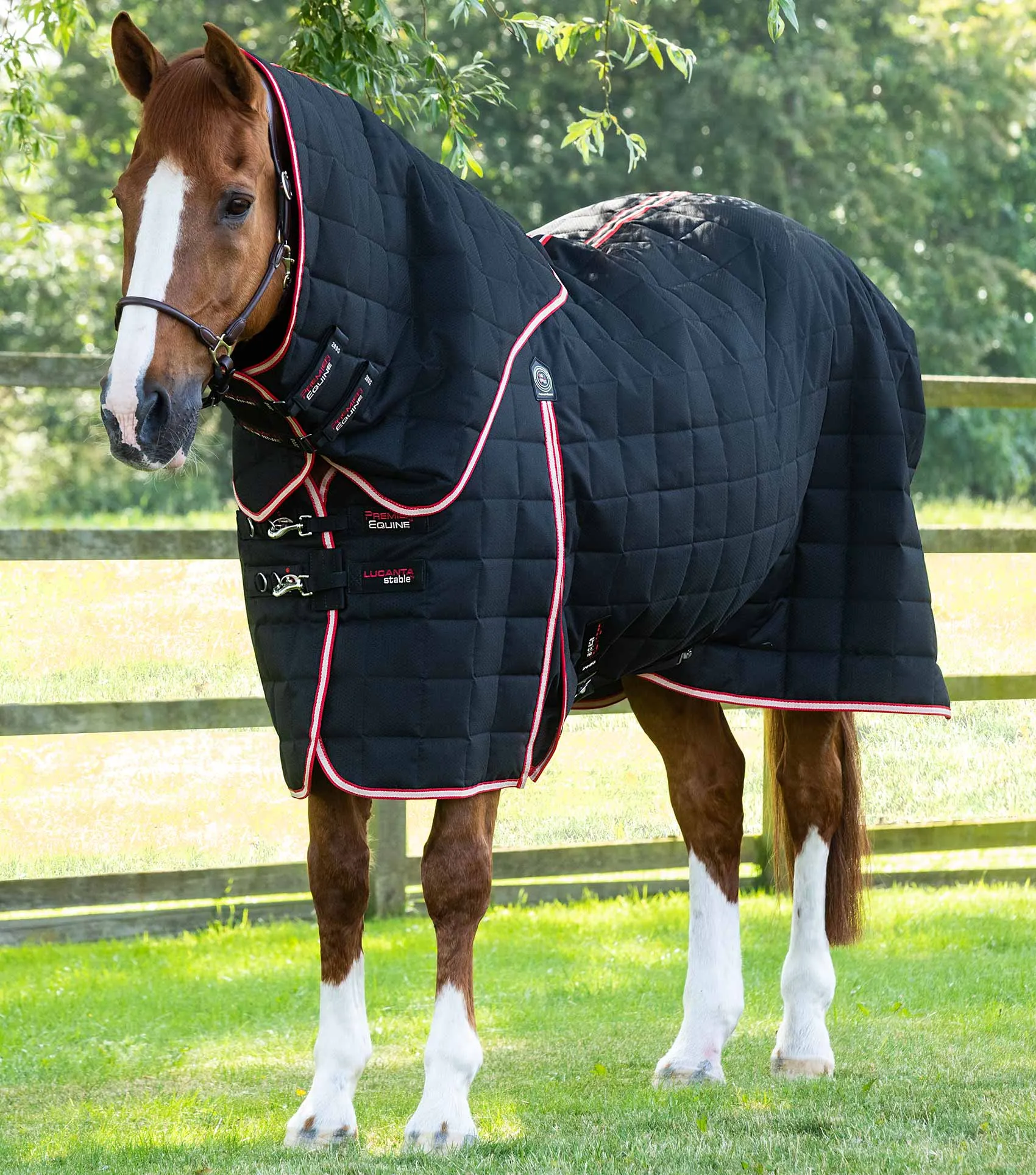 Lucanta 200g Stable Rug with Neck Cover Black