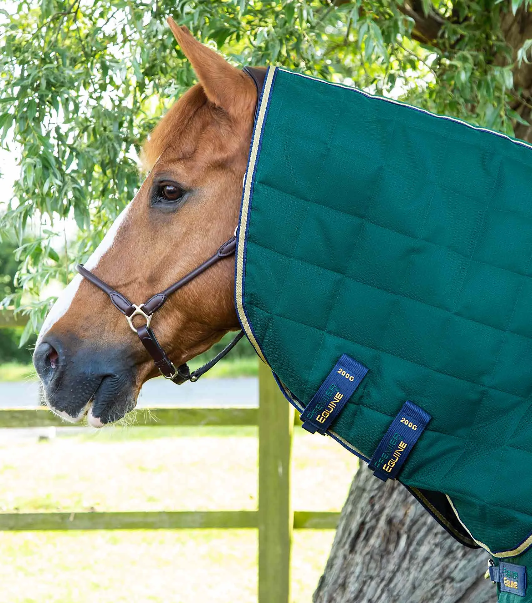 Lucanta 200g Stable Rug with Neck Cover Green