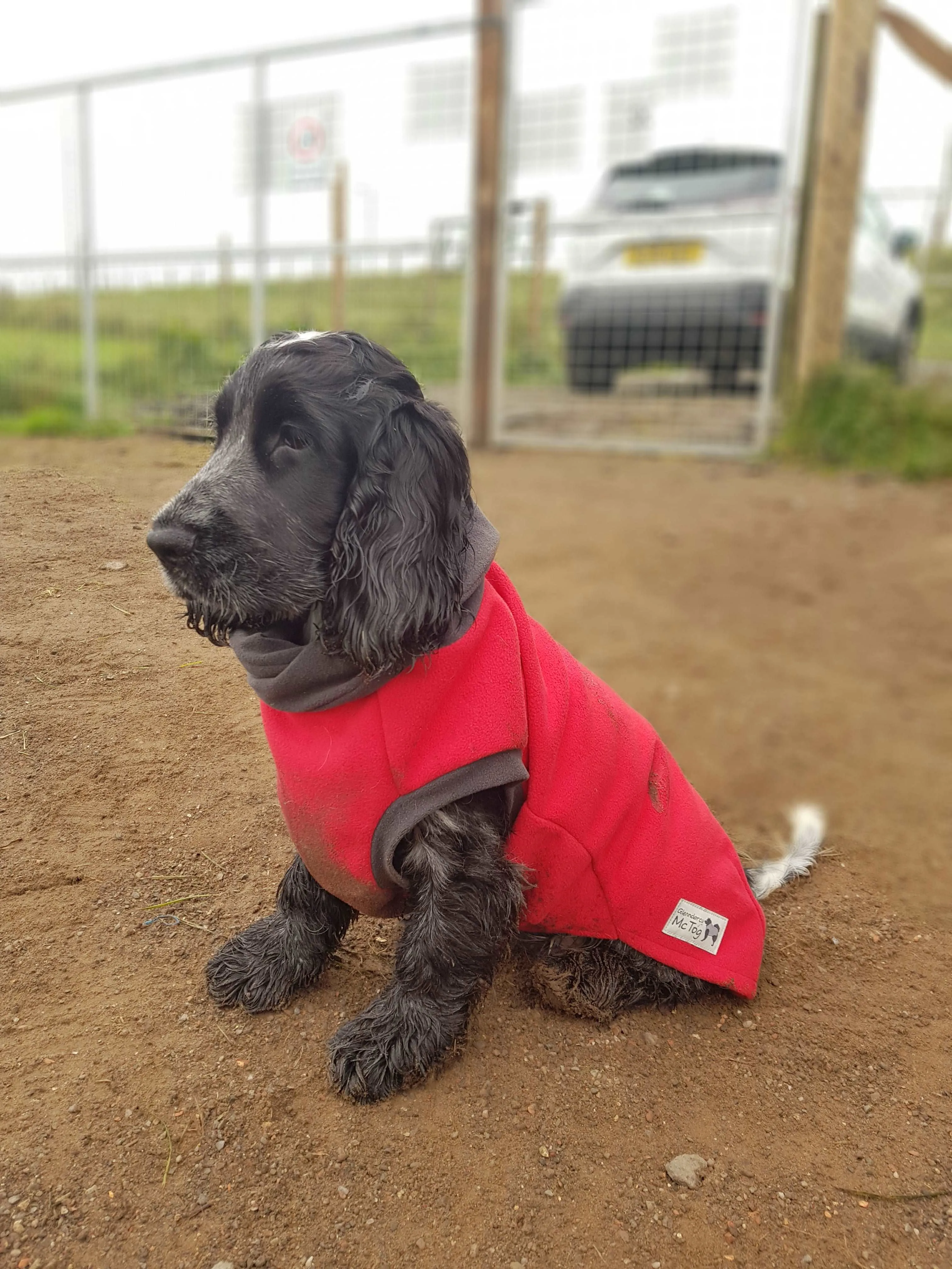 Racing Red Double Layer Waterproof Microfleece McTog Dog Jumper