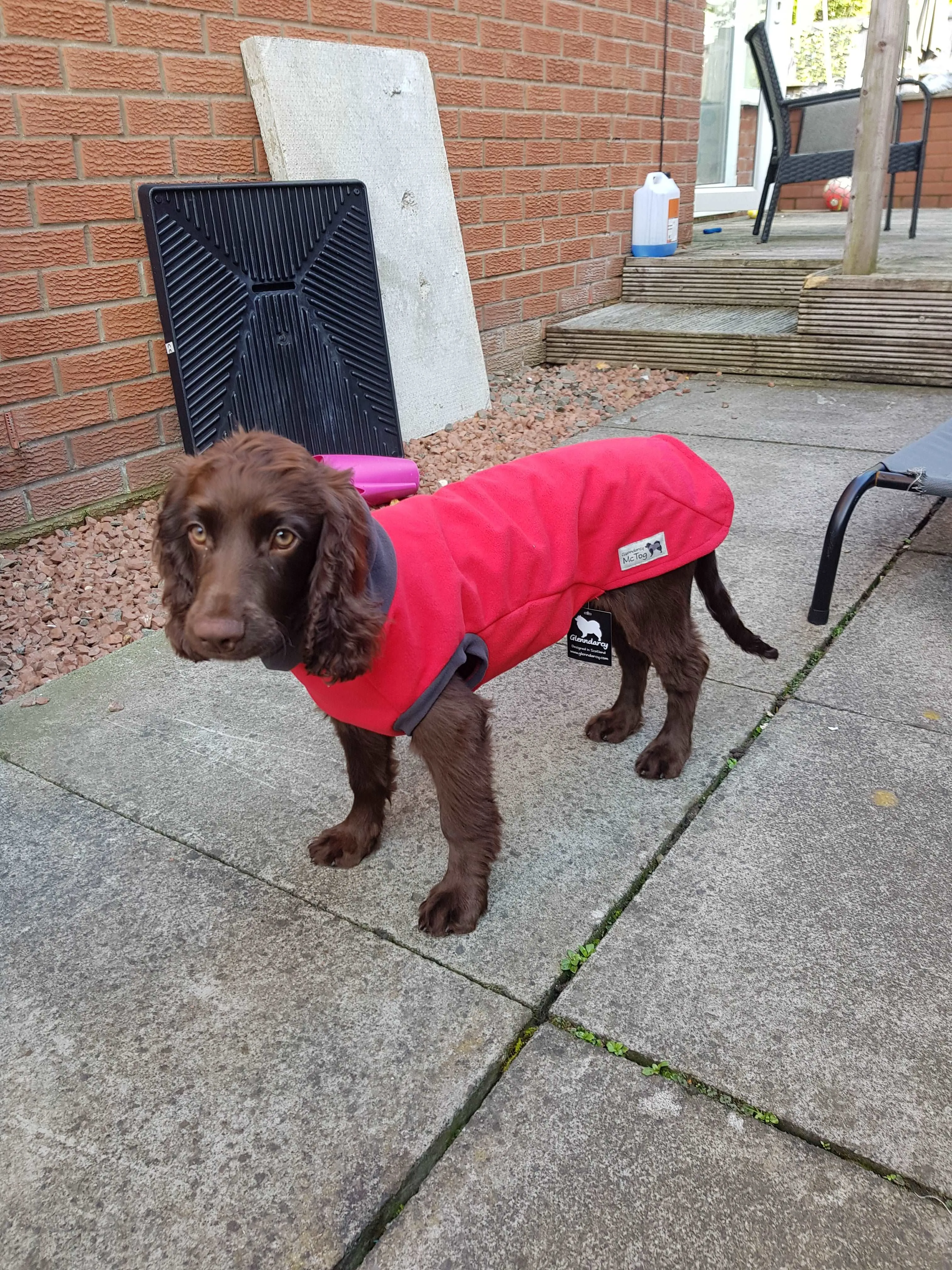 Racing Red Double Layer Waterproof Microfleece McTog Dog Jumper