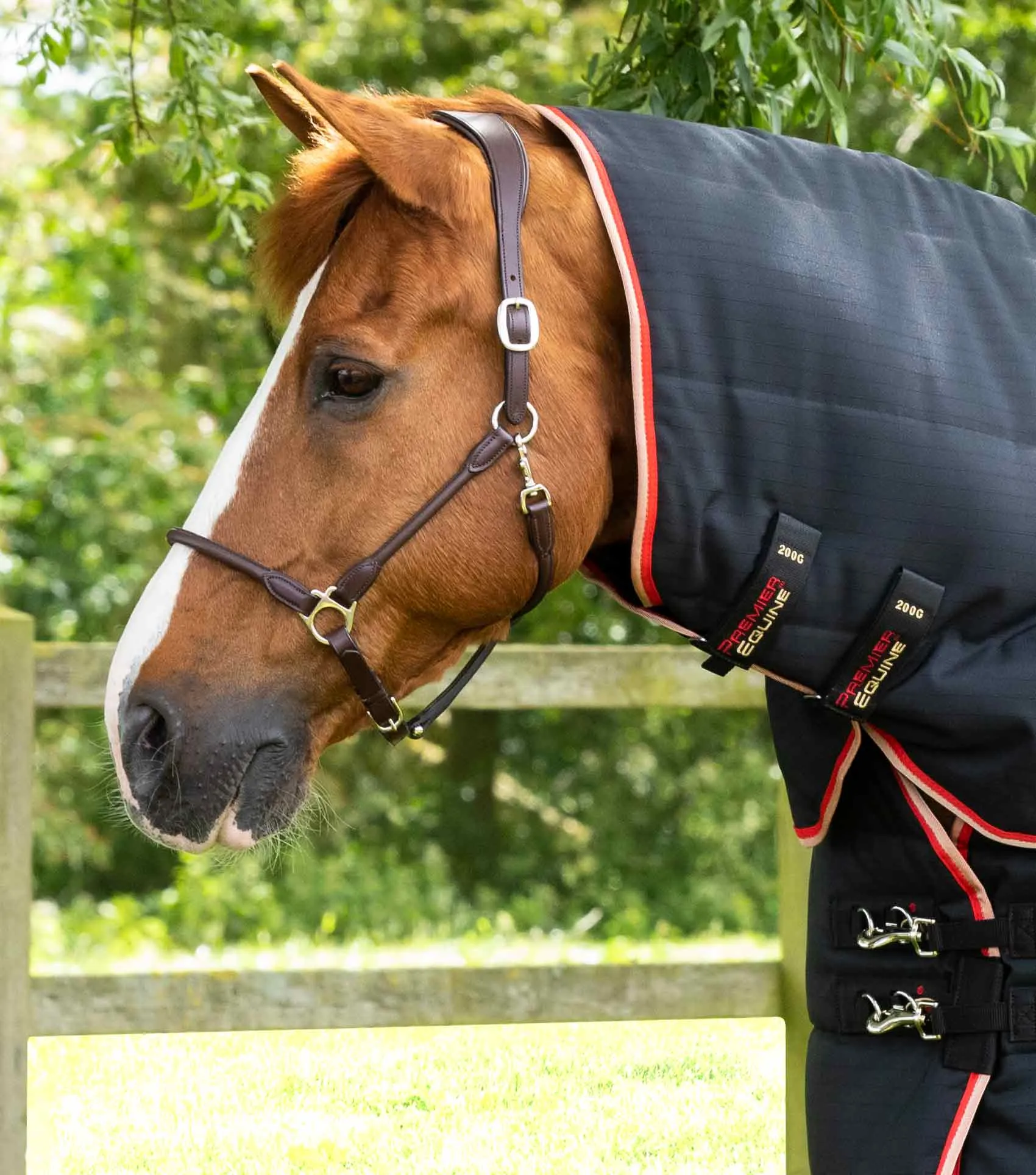 Stable Buster 200g Stable Rug with Neck Cover Black