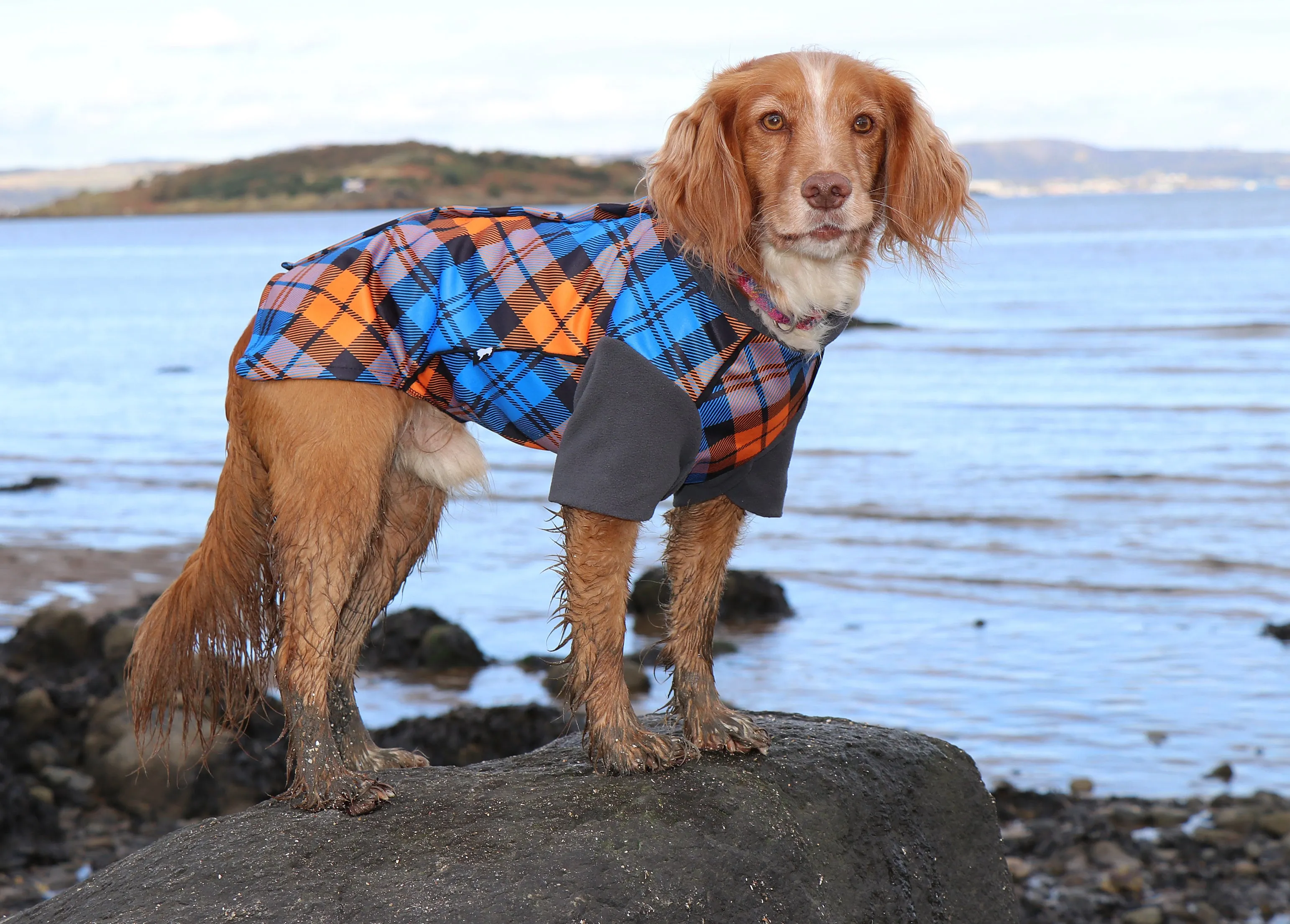 The Highlander McTog Dog Jumper - With Sleeves - Full Poppers Step In