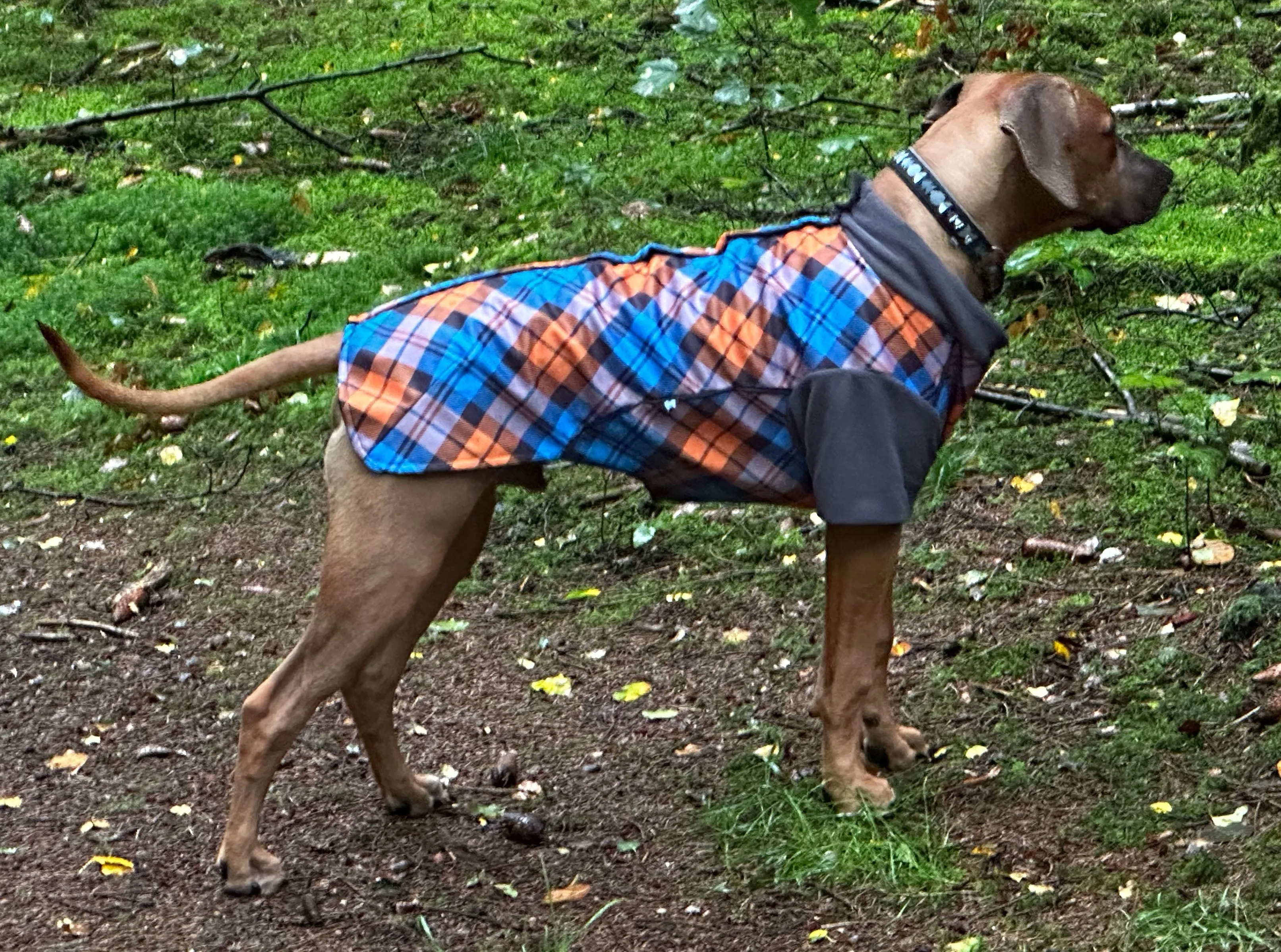 The Highlander McTog Dog Jumper - With Sleeves - Full Poppers Step In