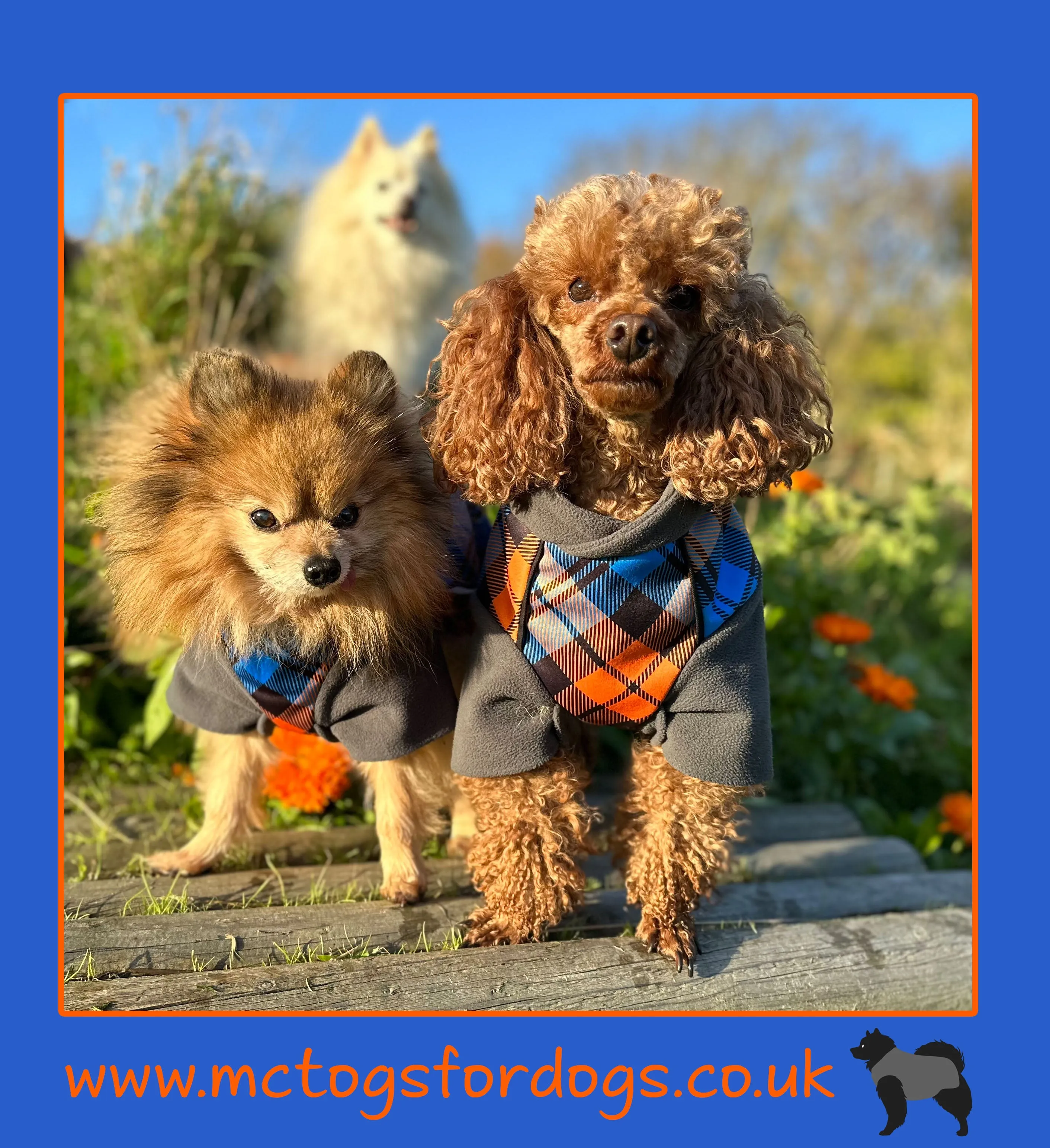 The Highlander McTog Dog Jumper - With Sleeves - Full Poppers Step In