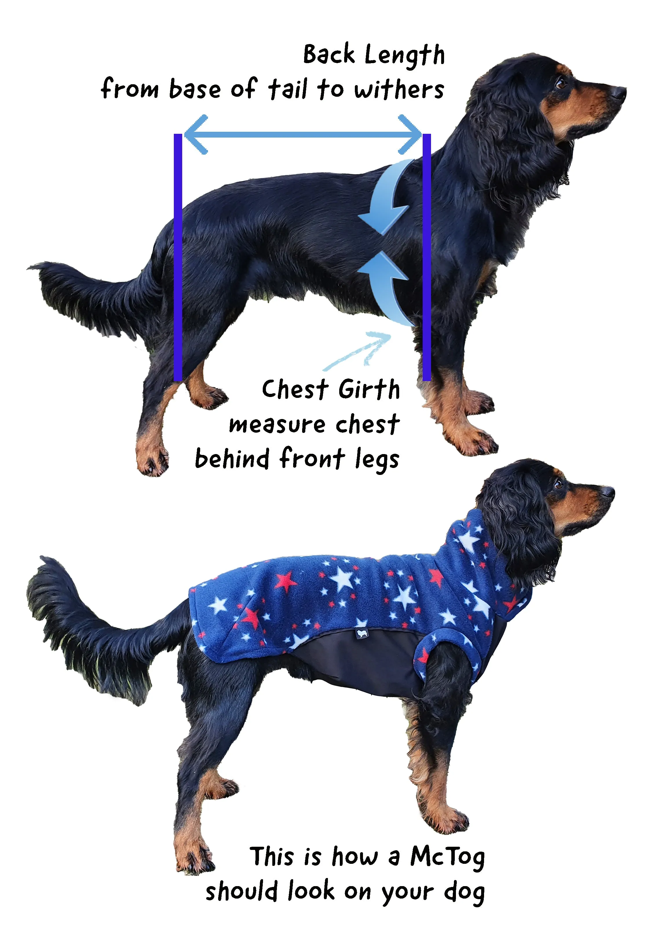 Thistle Waterproof Microfleece McTog Dog Jumper - Back Poppers