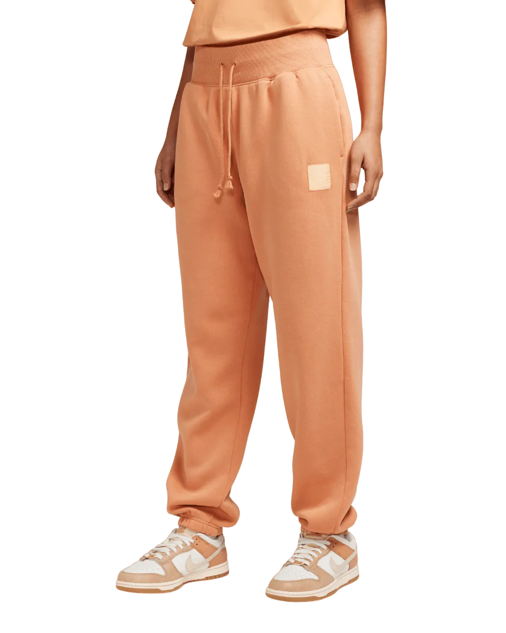 Women's AU Sportswear Fleece Oversized Pants (FN7367-225)